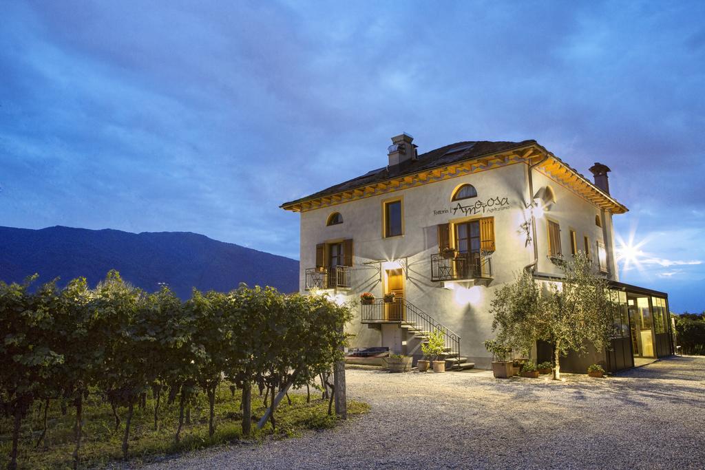 Fattoria L'Amorosa Sementina Zimmer foto